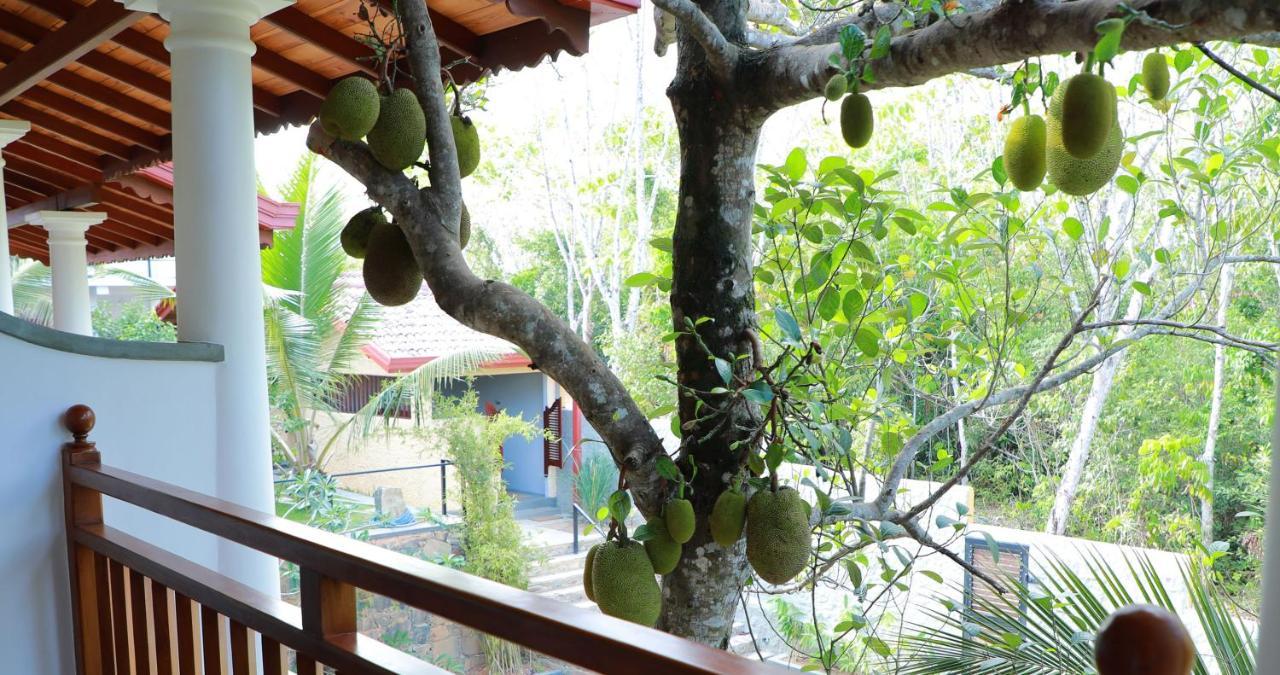 Terrace Garden Ayurveda Resort Weligama Extérieur photo