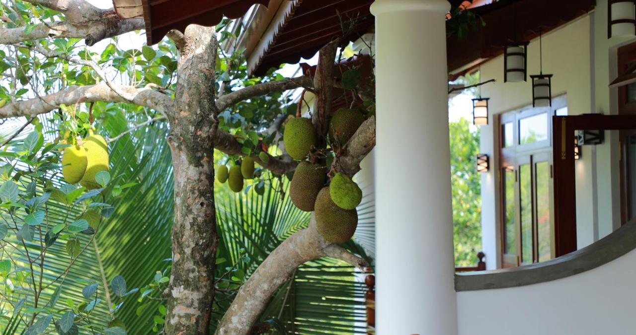 Terrace Garden Ayurveda Resort Weligama Extérieur photo