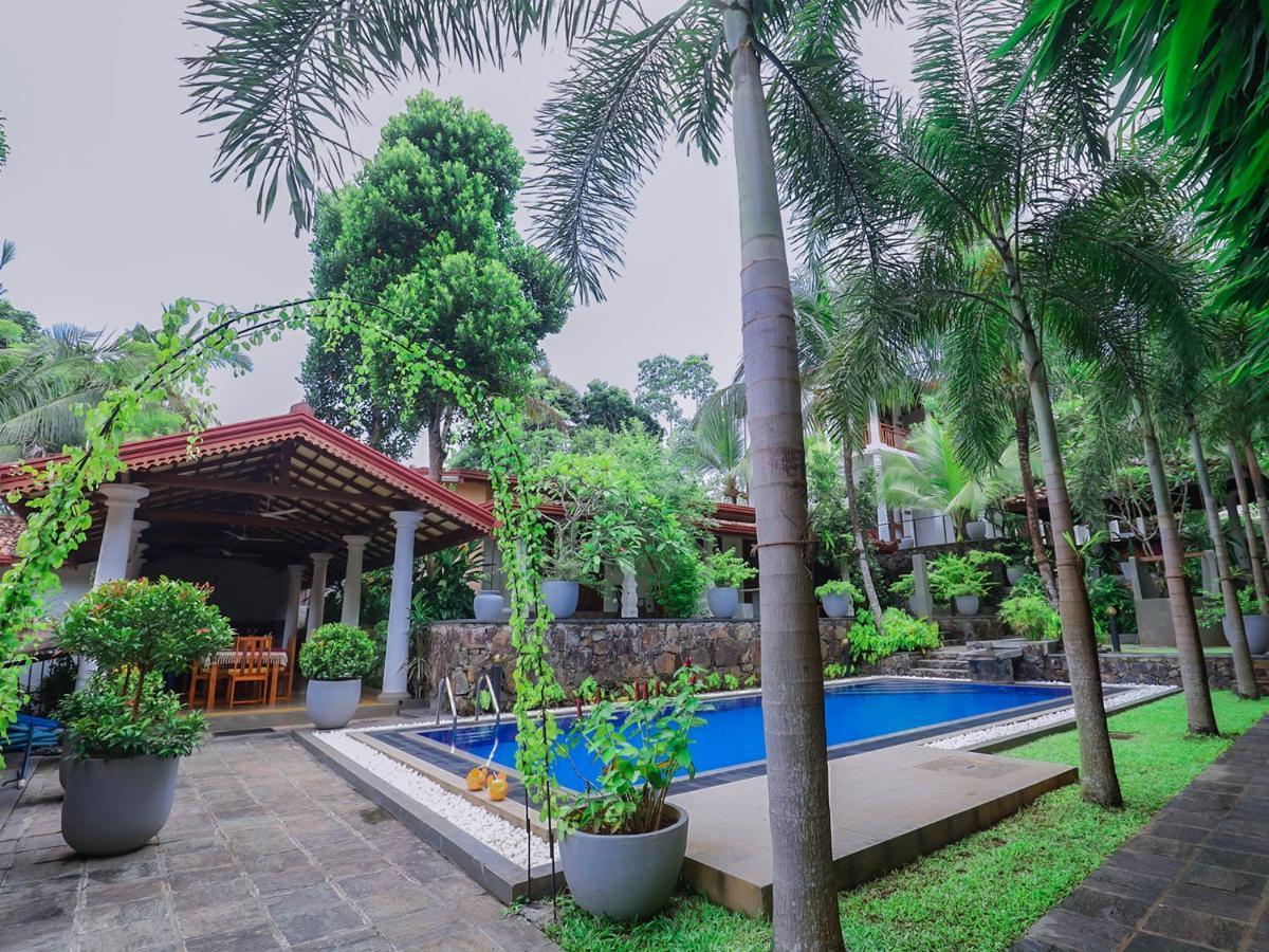 Terrace Garden Ayurveda Resort Weligama Extérieur photo