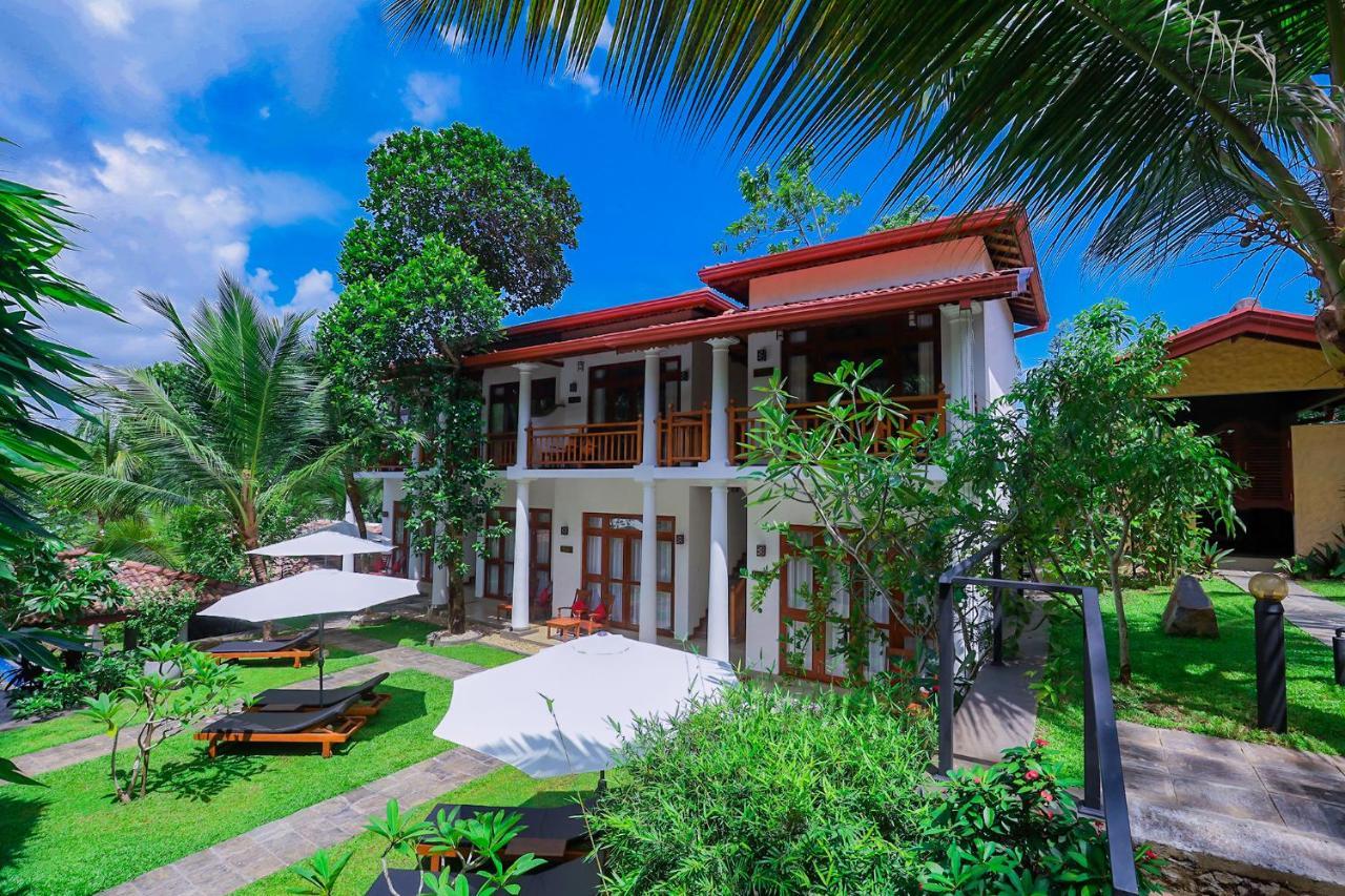 Terrace Garden Ayurveda Resort Weligama Extérieur photo