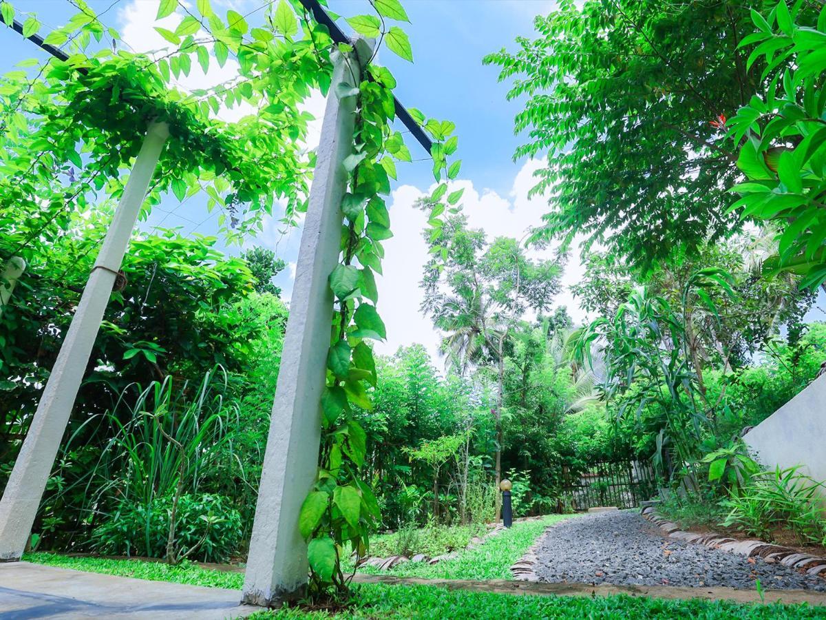 Terrace Garden Ayurveda Resort Weligama Extérieur photo
